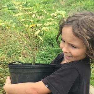 Pono Grown, Maui, Hawaii Pono Grown, Maui, Hawaii