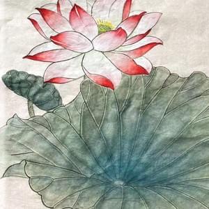 Adult student - Lotus flower