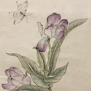 Adult student - Tulip flower