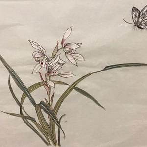 Adult student - Chinese orchid flower