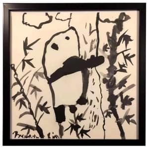 Panda - Student Rotterdam - 10 years