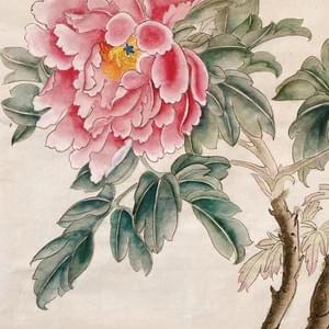 Adult student - Peony flower