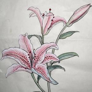 Adult student - Lily flower