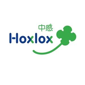Logo and visual identity design for Hoxlox, the new name for a Chinese high-tech company known in China as Zhonggan, developing products for 'the internet of things'. 2014.