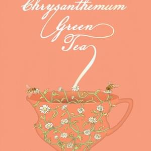 美人花茶系列之菊花绿茶 美人花茶系列之菊花绿茶