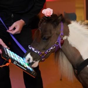 Powell Society Celebration 2018 Powell Society Celebration 2018