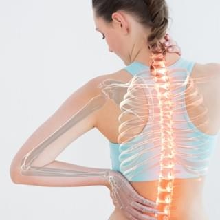 image of female back illustrating underlying bony structures image of female back illustrating underlying bony structures