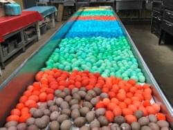 2019 Easter Egg Hunt 2019 Easter Egg Hunt