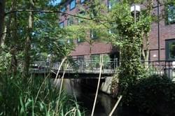 Section image
