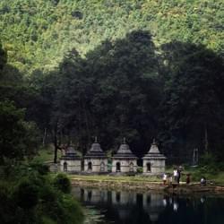 reflective reflective