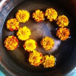 Marigolds to welcome Marigolds to welcome