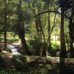 in the belly of greenery in the belly of greenery
