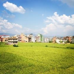 fields whilst they exist fields whilst they exist