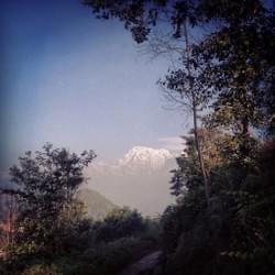 peaky peek peaky peek