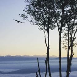 let's soar above  the fray let's soar above  the fray