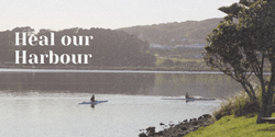 Heal our Harbour Campaign Image Heal our Harbour Campaign Image