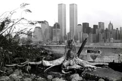 New York City, 1989 New York City, 1989