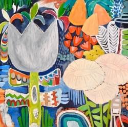 Jester Tulip Garden Jester Tulip Garden