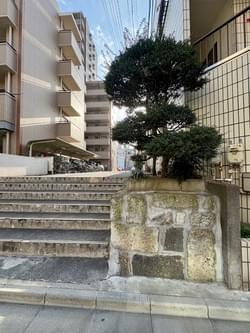 お歯黒どぶ跡・大谷石の石垣 お歯黒どぶ跡・大谷石の石垣