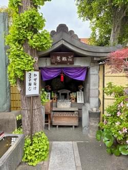 咳の爺婆尊 咳の爺婆尊