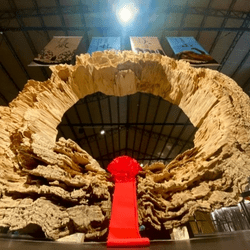 入口意象 林岳昇收藏家