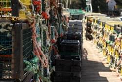 Lobster Traps, Hackett's Cove, NS Lobster Traps, Hackett's Cove, NS