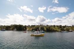 Summer, Hackett's Cove, NS Summer, Hackett's Cove, NS