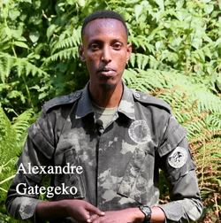 Alex is a graduate student in the lab. Before coming to UMich, he earned an undergraduate degree in Zoology from the University of Rwanda. He has seven years of experience studying the behavior and demography of golden monkeys in Volcanoes National Park, Rwanda, and is a 2024 recipient of the Leakey Foundation's Baldwin Fellowship.