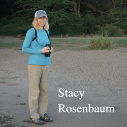 Stacy is the lab's principal investigator. She did her PhD at UCLA and postdocs at the University of Chicago, Northwestern University, and University of Notre Dame before joining the Anthropology Department at Michigan in 2020.