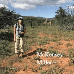 McKensey is a graduate student in the lab. She has a BS in zoology and environmental studies from the University of Wisconsin-Madison, and completed her masters in anthropology at Texas State in 2020. She has extensive fieldwork experience studying vervet monkeys in South Africa and the Fongoli chimpanzee community in Senegal. She studies how great apes behaviorally and physiologically adapt to extreme environments.