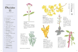 「ざ・いけのぼう」「花図鑑」11月号 「ざ・いけのぼう」「花図鑑」11月号