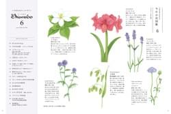 「ざ・いけのぼう」「花図鑑」6月号 「ざ・いけのぼう」「花図鑑」6月号