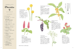 「ざ・いけのぼう」「花図鑑」9月号 「ざ・いけのぼう」「花図鑑」9月号