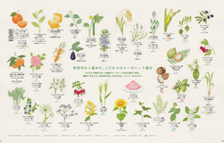 aprotieorganicsパンフレット