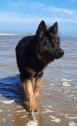 Sortie à la Mer. Sortie à la Mer.