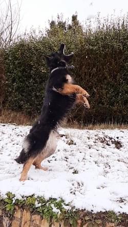La neige, c'est le nord ! La neige, c'est le nord !