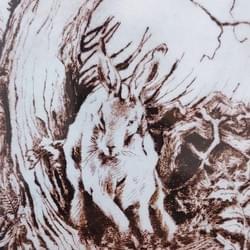 Section image