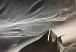 The currents The currents