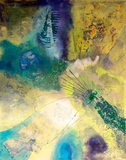 Sea Creature Sea Creature