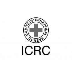 Neue digitale Kommunikationsstrategie - IKRK-spezifische Themen Neue digitale Kommunikationsstrategie - IKRK-spezifische Themen