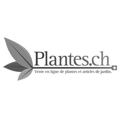 Google Ads für das Gartengeschäft der Schweiz - Plantes.ch Google Ads für das Gartengeschäft der Schweiz - Plantes.ch