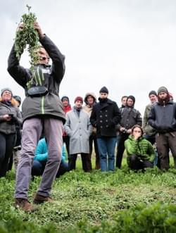 Lebhafte Demonstration auf dem Feld