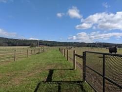 Individual turnout Individual turnout