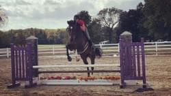 Allyson and Nimbus Allyson and Nimbus