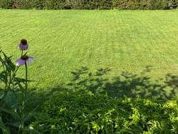 Grasrobotplus Grasrobotplus