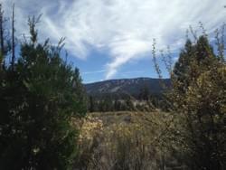 Spring Day Spring Day