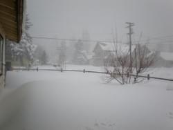 Winter Day Winter Day