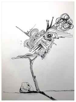 Song Bird Song Bird