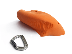 Shark family - Catalogue reference C01005 Shark family - Catalogue reference C01005