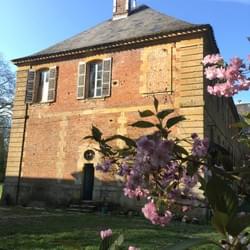 Section image